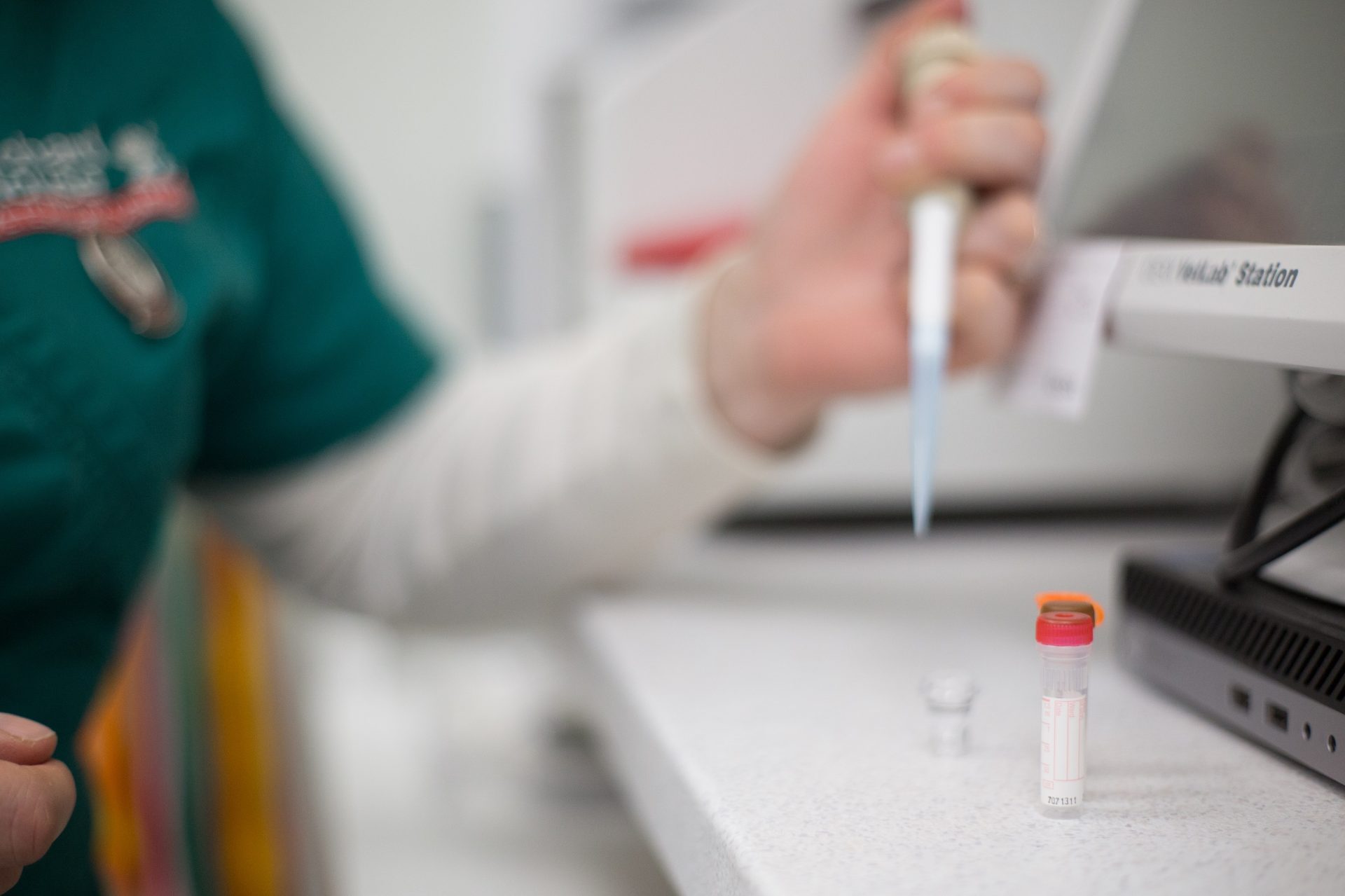 dog blood test