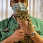 Veterinary Surgeon career advice