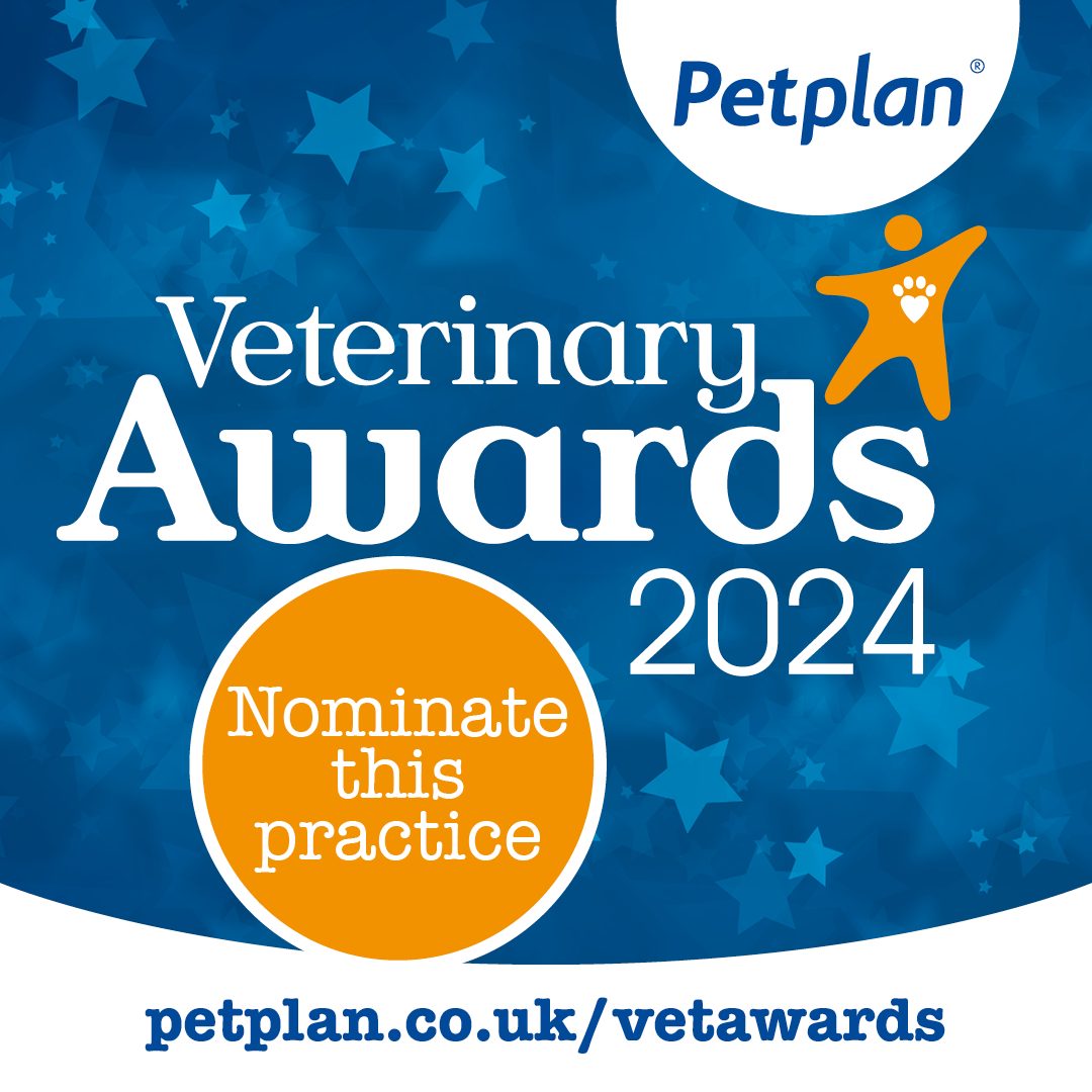 Featured image for “Petplan veterinary awards 2024”15042:full15042:full