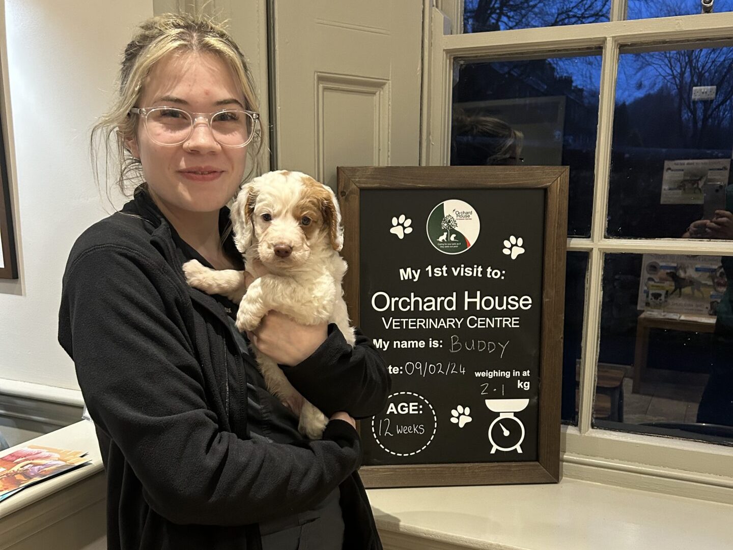 Flea and worm treatment