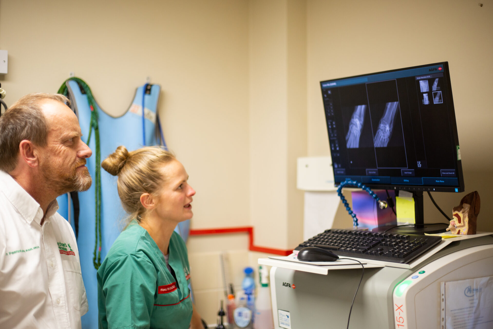 arthritis xray