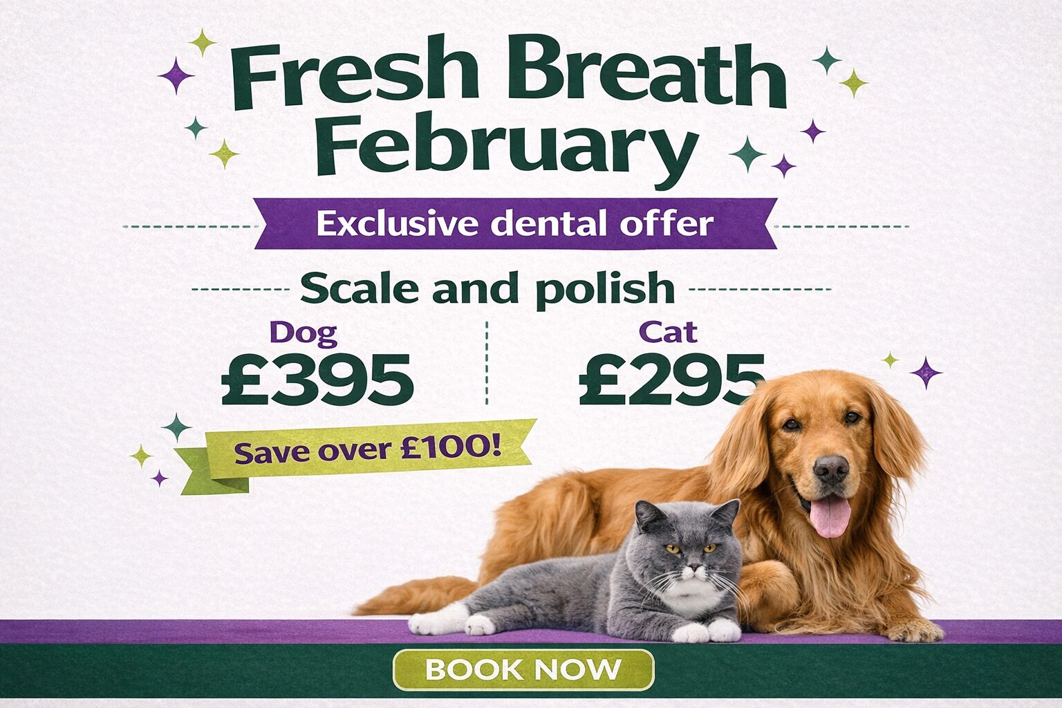 Featured image for “Pet dental awareness month”16615:full16615:full