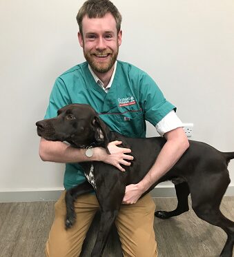 canine infectious cough