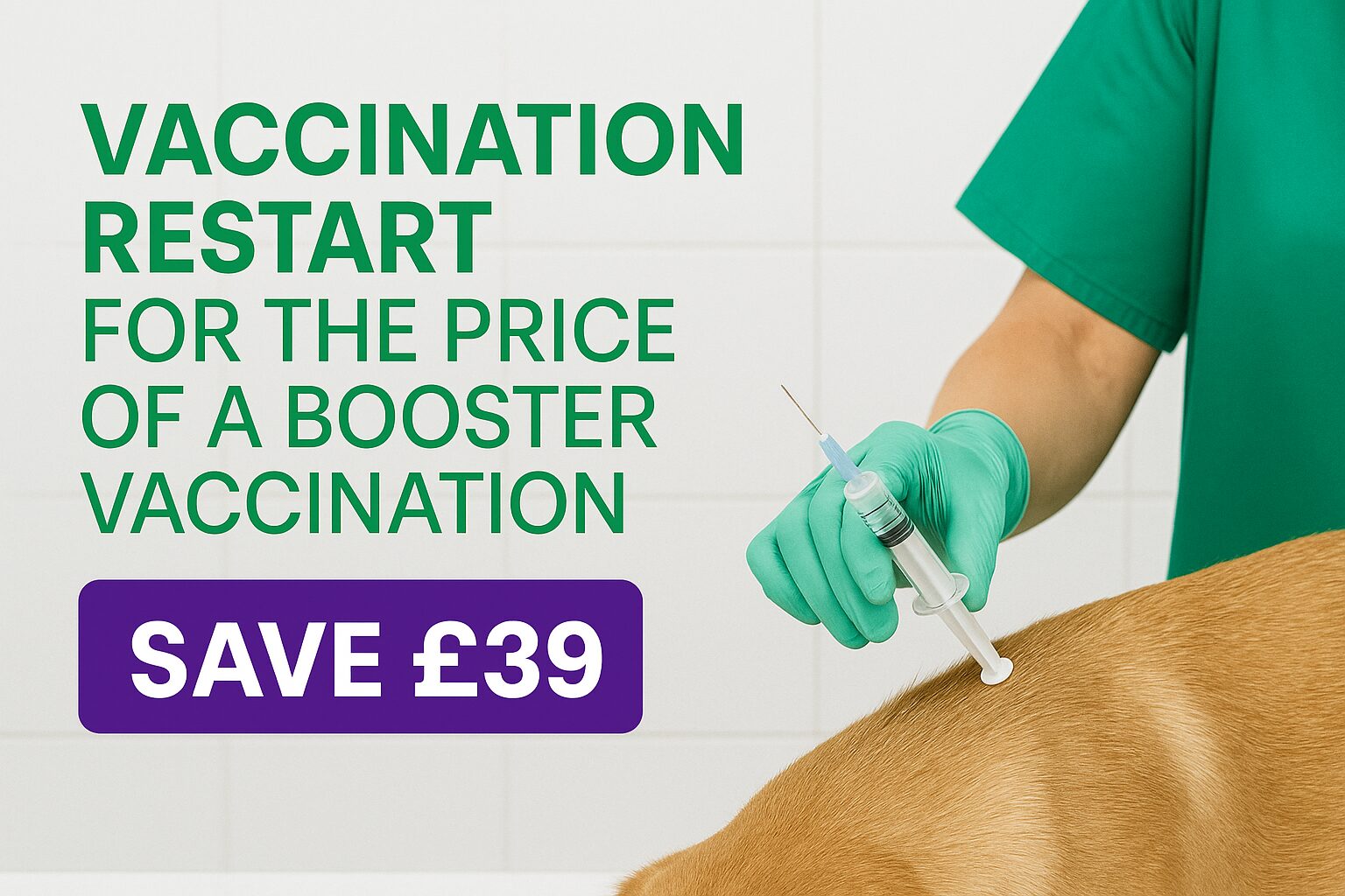 dog vaccination