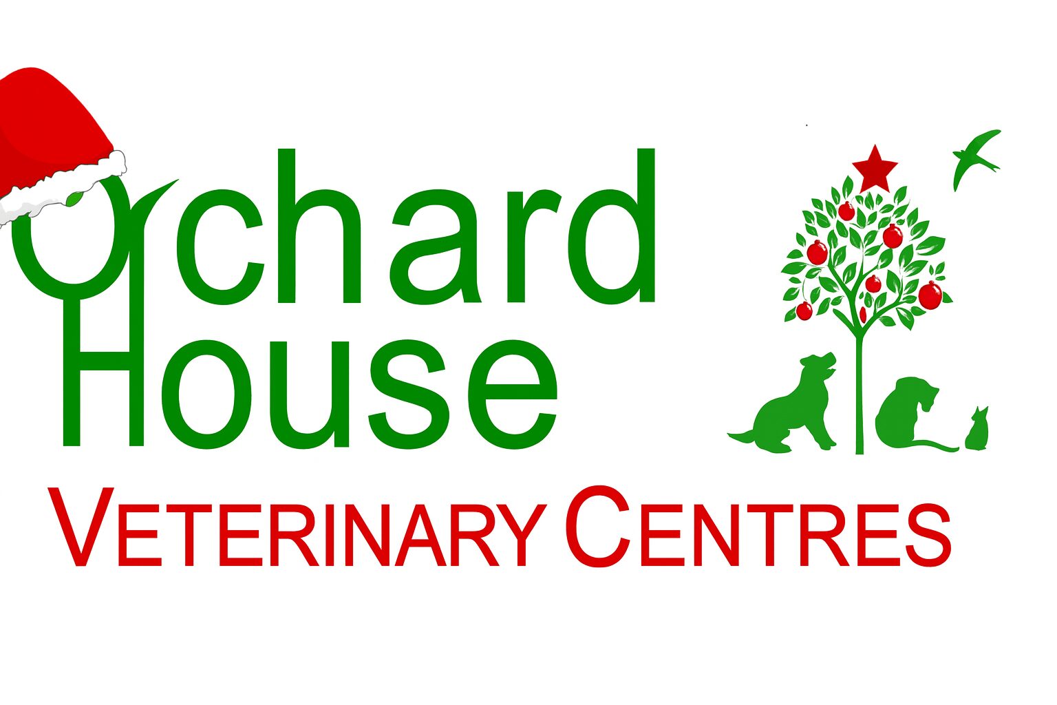 Featured image for “2025 Christmas charity”